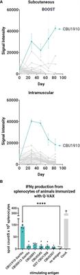 Multivalent vaccines demonstrate immunogenicity and protect against Coxiella burnetii aerosol challenge